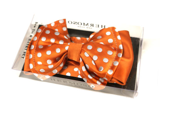Circles Orange Big Bow Tie and Matching Handkerchief